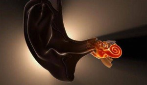 ear